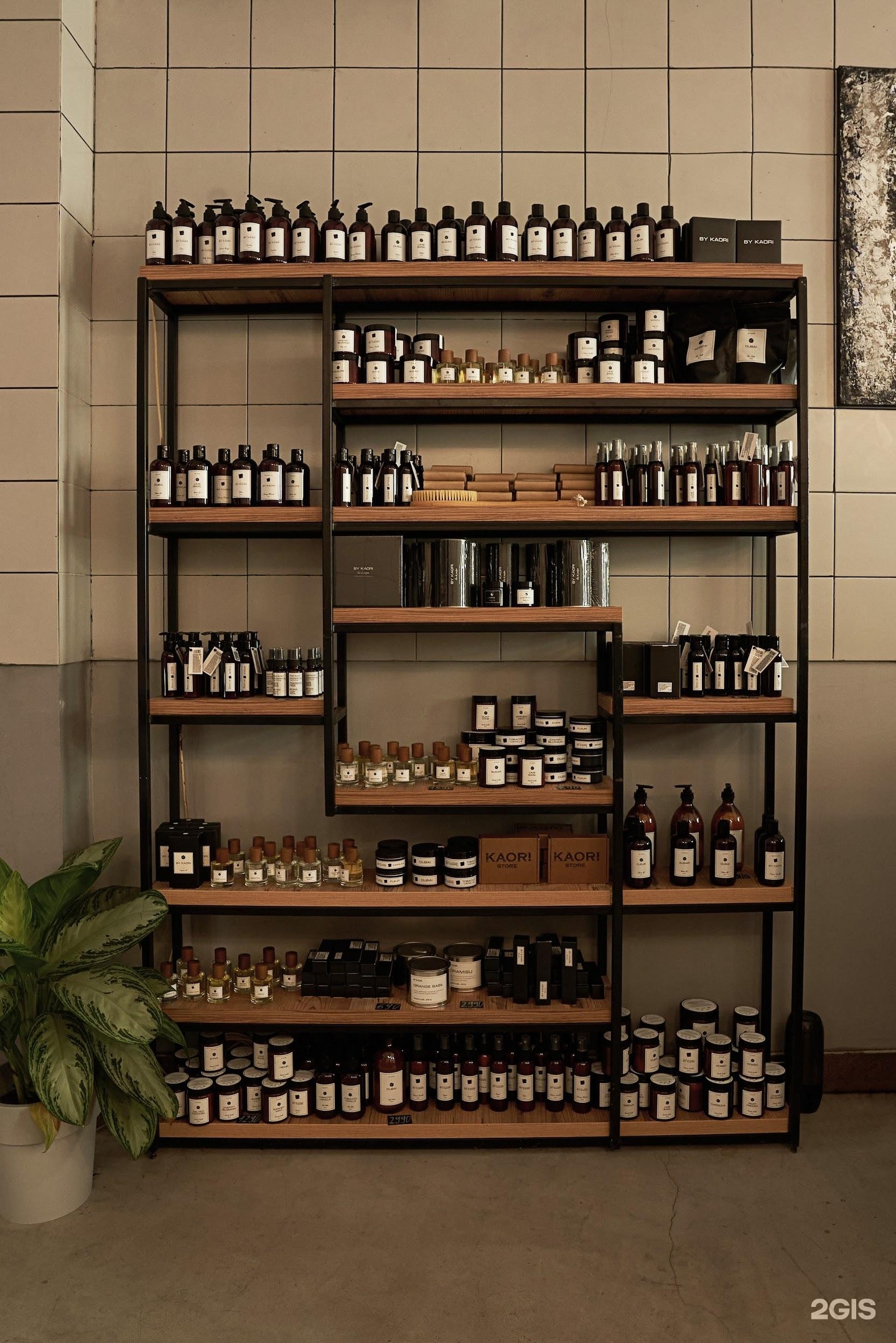 Изображение организации