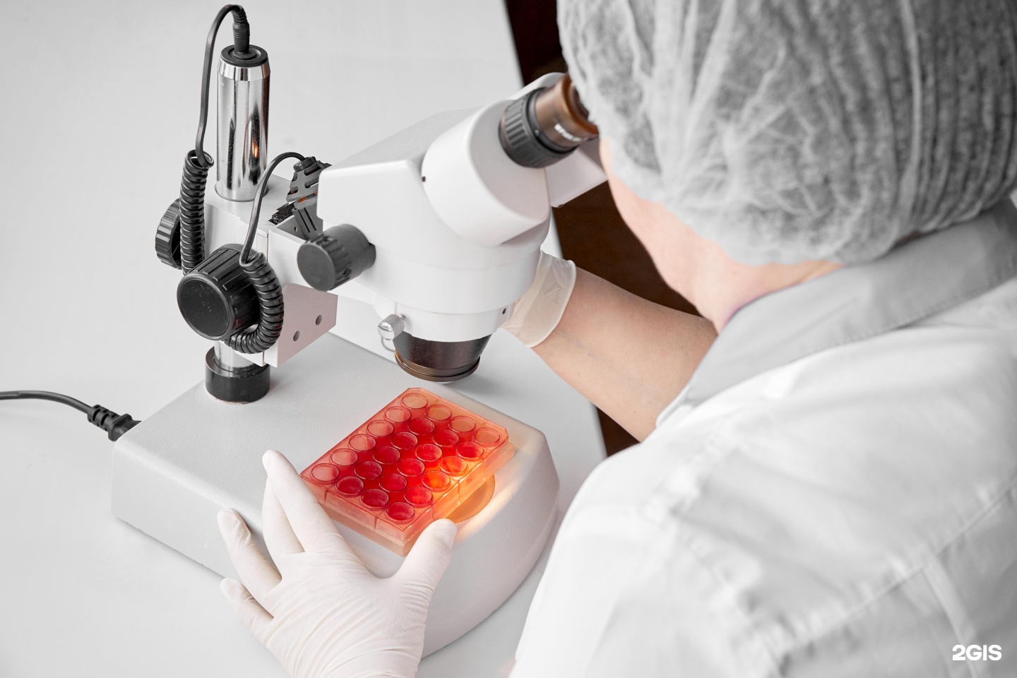 Изображение организации