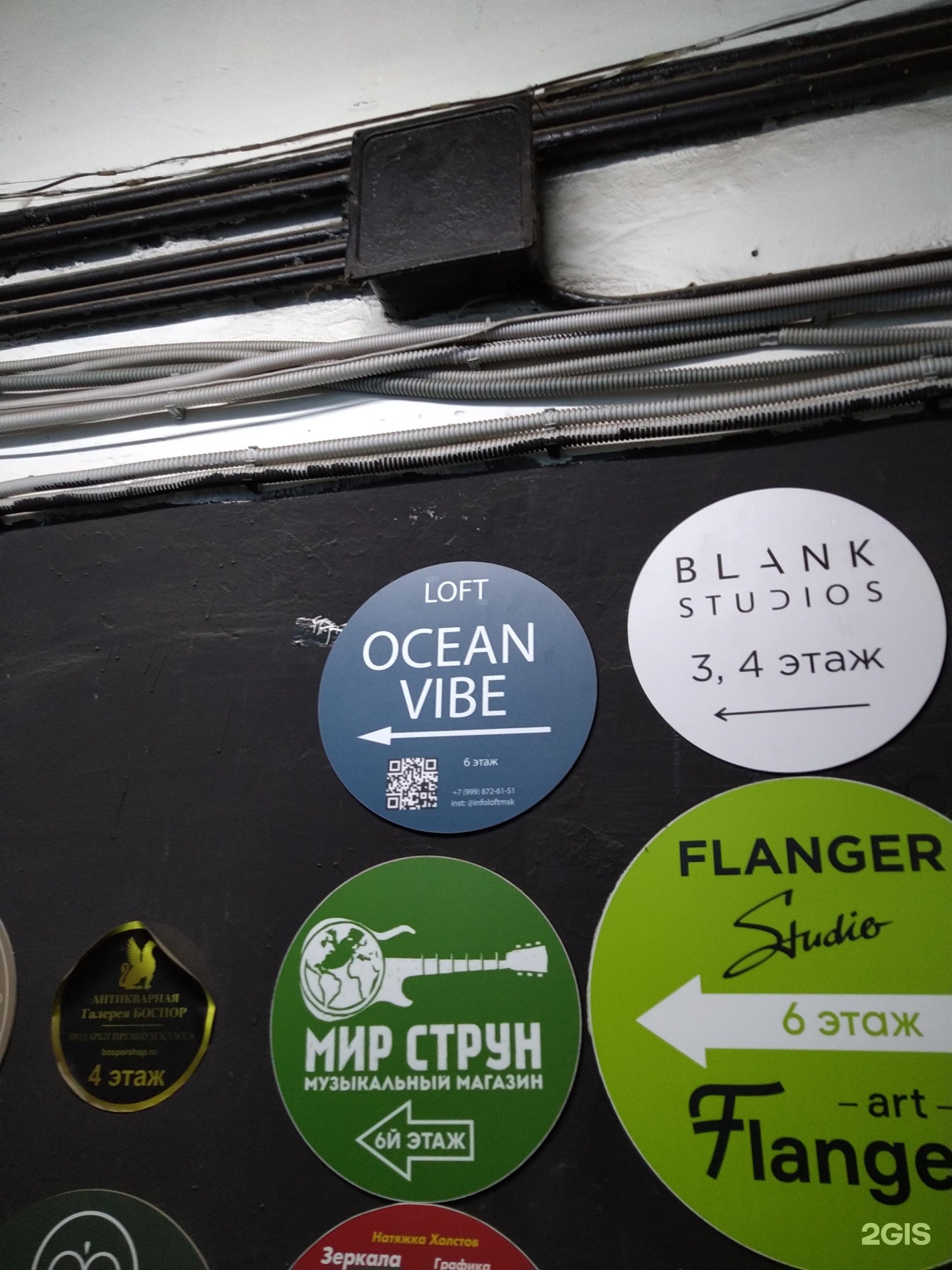 Изображение организации