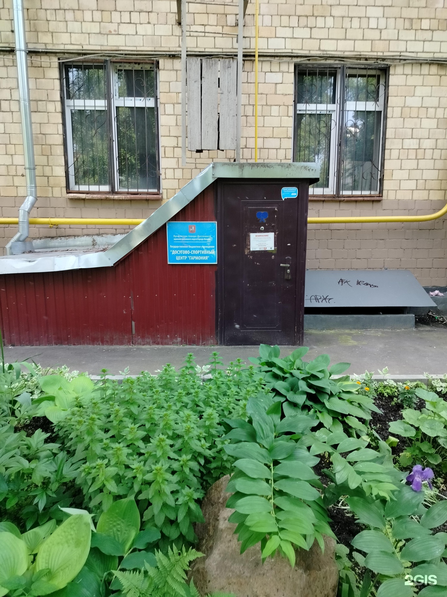 Изображение организации