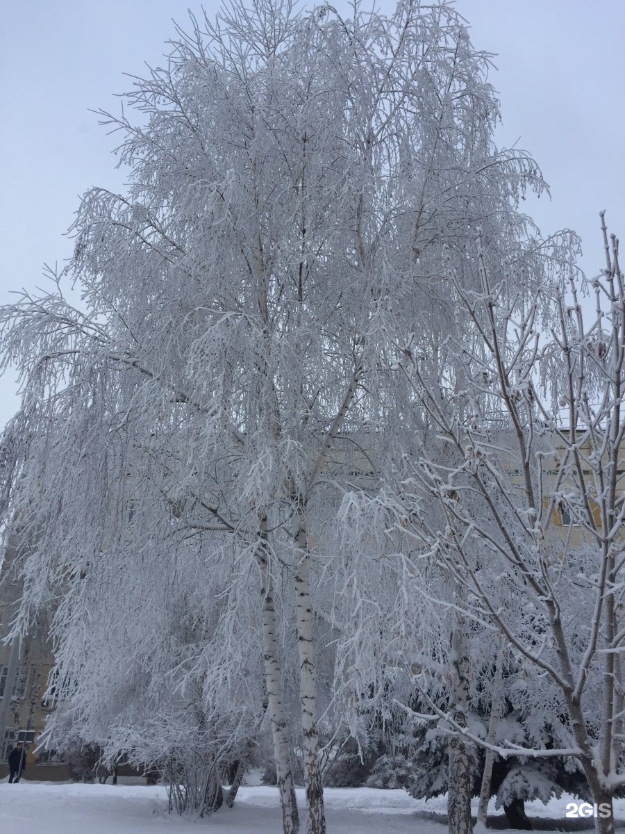 Роддом (Перинатальный центр) г. Энгельс