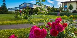 Падиково: Отель Покровское-дивное