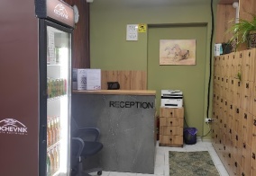 Хостел Kochevnik в Алматы