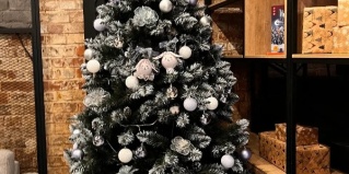 Нижний Новгород: Отель Ботаника лофт