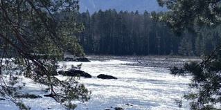 Чемальский район: Турбаза Алтай