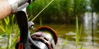 Лопотово: Коттедж Vetvi