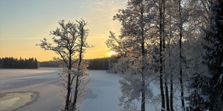 Горки: Отель Greenvald парк Скандинавия