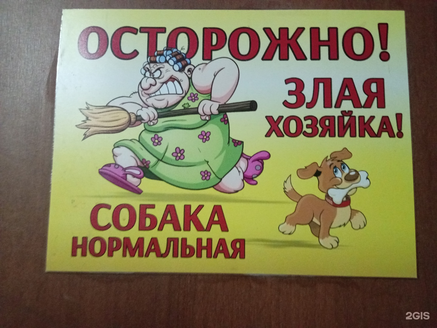 tvoi_venik