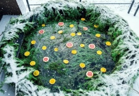 Глэмпинг Трофимов Берег в Московской области