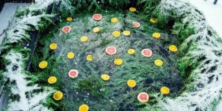 Волоколамский муниципальный округ: Глэмпинг Трофимов Берег