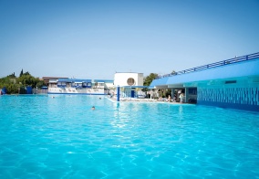 Отель Флора в Адлере