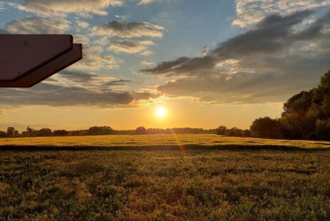 Богдасаров: Глэмпинг Скворечник