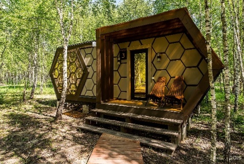 Ясногорский район: Глэмпинг Honey Day