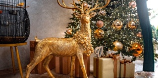 Лазаревское: Отель Атлант