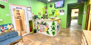 Владивосток: Отель Алоха