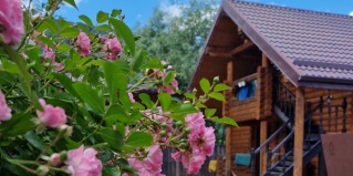 Хамышки: Коттедж Гранд Хауз