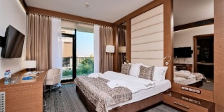 Сириус: Отель Арфа