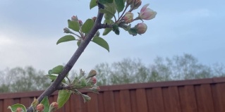 Термальный: Турбаза Лесная поляна