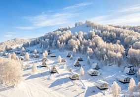 Отель Алтай Пэлас в Алтайском крае