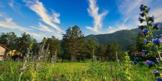 Чемальский район: Гостевой дом Чемальские просторы