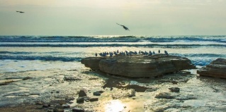 Дербент: Коттедж Волна