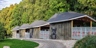 Детский санаторий: Глэмпинг Odin House