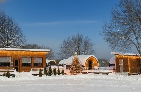 Звенигород: Глэмпинг Ок-река