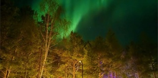 Верхнетуломский: Турбаза Уют