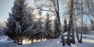 Катунь: Турбаза Берёзка