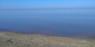 Морозовский: Гостевой дом Ясенская коса