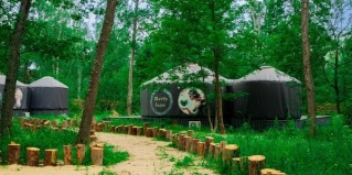 Рамонский район: Отель Папоротник