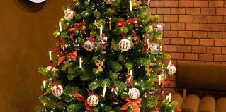 Москва: Отель Intourist Hotel Kolomenskoe