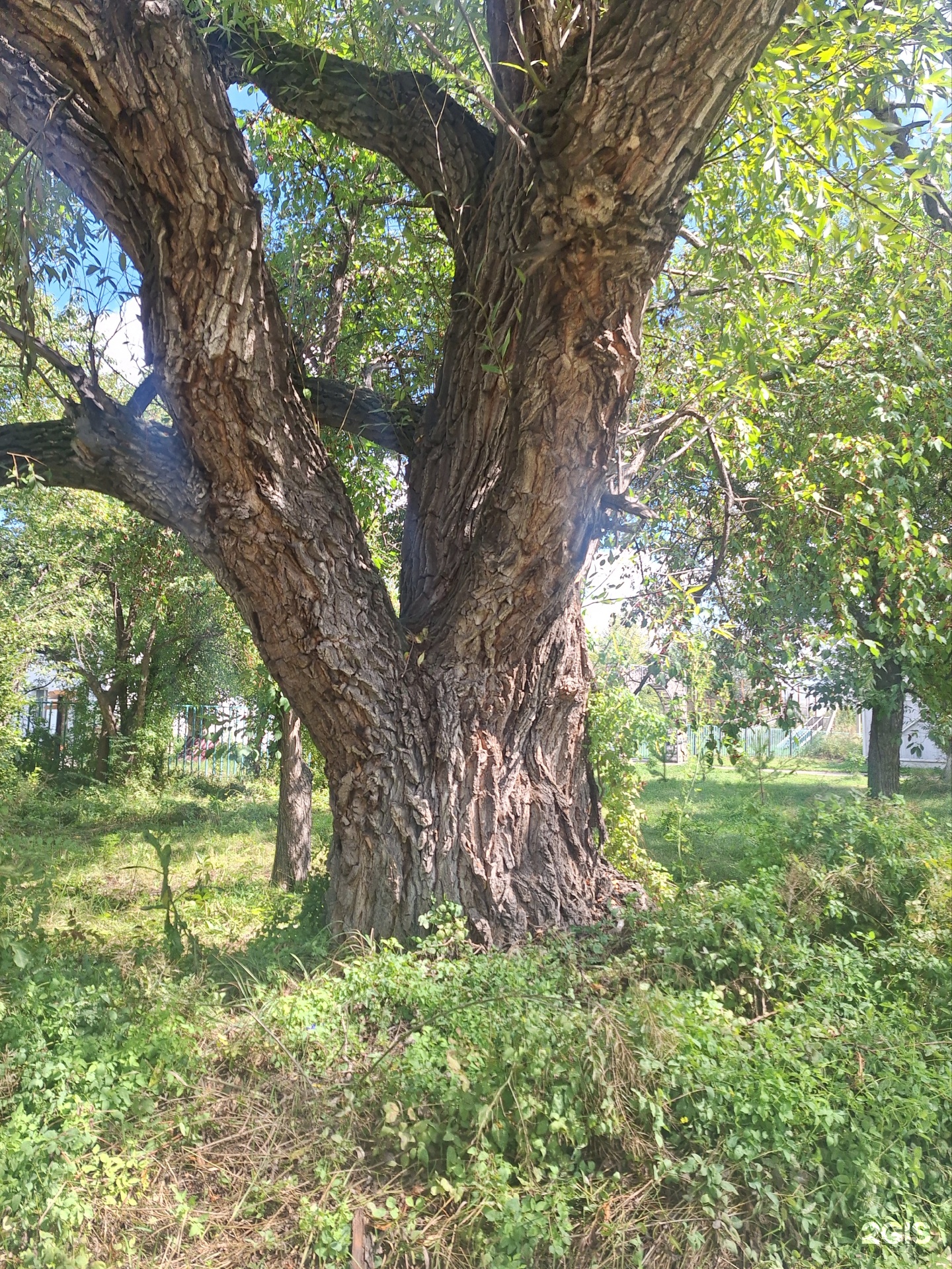 Энергетик