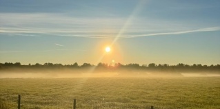 Новгородский район: Гостевой дом Pro Отдых