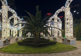 Капсульные отели На Воровского в Сочи