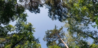 Аргаяшский муниципальный округ: Глэмпинг Янтарь Увильды