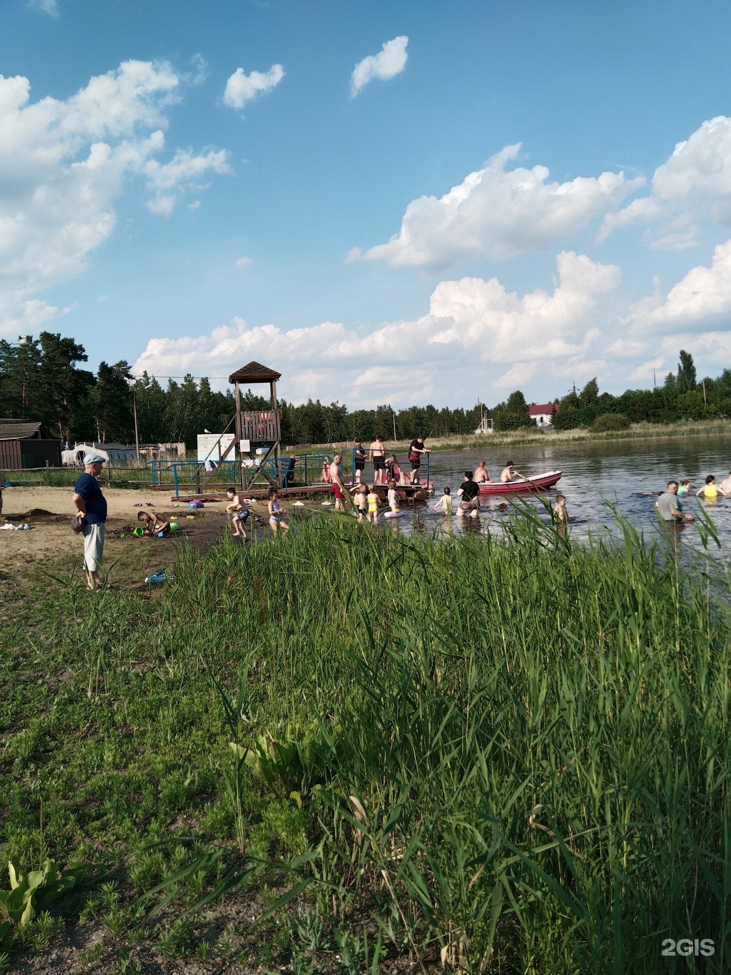 Деревенька в бору