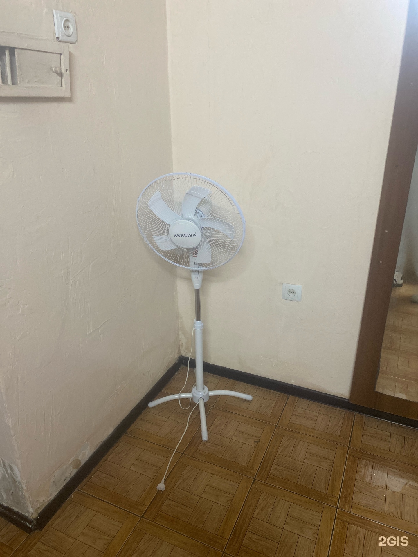 Жар и Пар